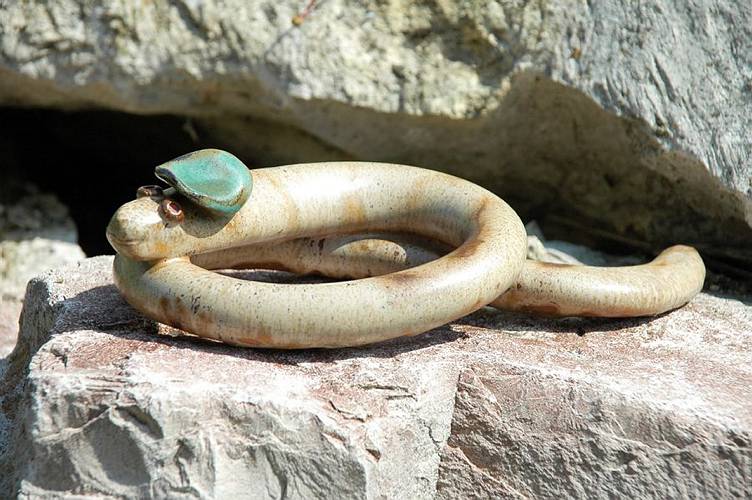 Gartenschlange schlummernd